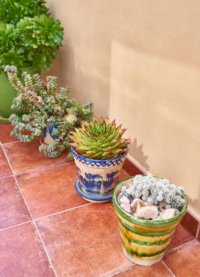 El Agave Ел Посо де лос Фрайлес Екстериор снимка